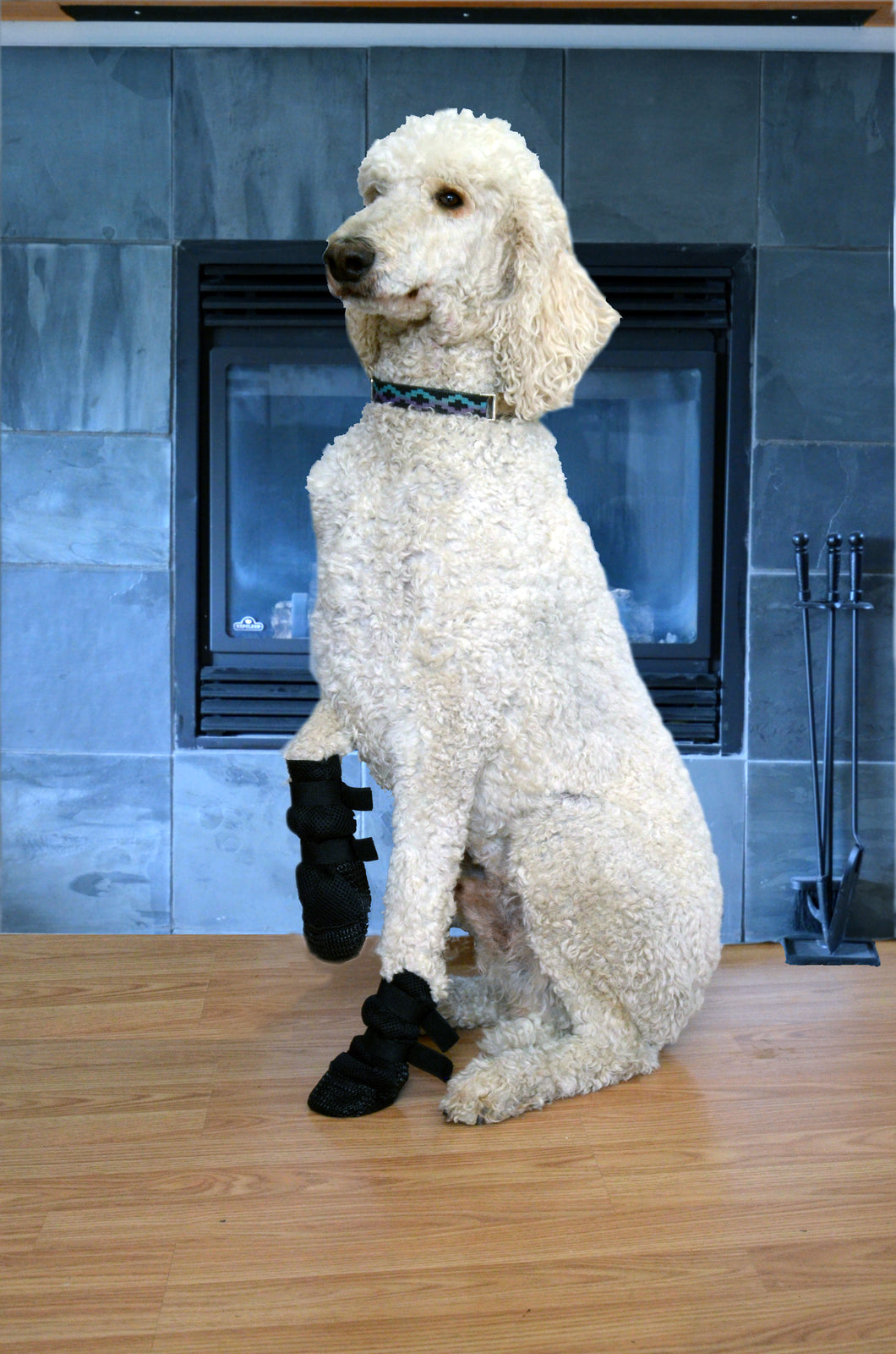 Paw-fect Indoor Dog Boots-One Pair